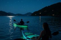 Illuminated Night Kayaking at the Elysian Resort