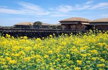 East Jeju Essentials – Seongsan Ilchulbong (UNESCO) & Haenyeo 