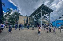 Private Blue Mountains Day Tour with Featherdale Wildlife Park