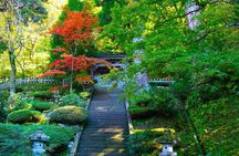 Fukui: Eiheiji Temple and the Heart of Zen Buddhism