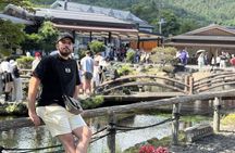 Mt Fuji and Flower Tour from Tokyo