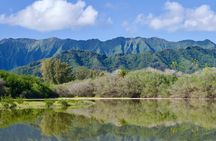 Private Tour Oahu - Up to 4 Guest - Customizable