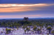 From Riga: Jurmala and Kemeri National Park Tour + Baltic Sea