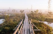 From Riga: Jurmala and Kemeri National Park Tour + Baltic Sea