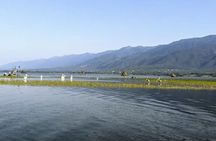 Day Trip to Lake Kerkini From Thessaloniki