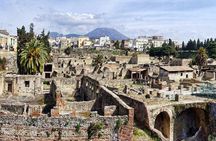 Herculaneum Half Day Tour from Sorrento with Tickets Included