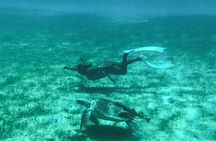 Snorkel, Sea Turtles & Beach Bar Escape PRIVATE Boat