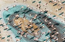 2-Day Private Tour to Salar de Uyuni and Laguna Colorada