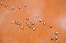 2-Day Private Tour to Salar de Uyuni and Laguna Colorada