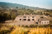 Alicante Full-Day Wine Tour Two Wineries & Tastings