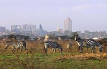 Nairobi National Park Tour- Morning Drive