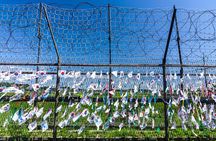 DMZ Small Group Tour: Hidden JSA Stories, Meet a NK Defector