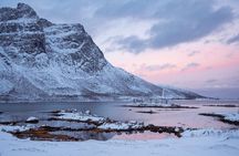 Tromso: Into the Fjord - A Small Group Scenic Day Tour