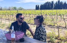 Camargue Day Trip Flamingos Wine and Dead Aquarius