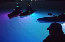 Paddleboard Neon Night Paddle