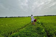 Uncover Real Rural Hoi An - A True Local Life Experience 