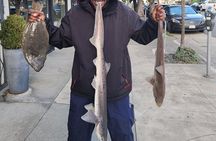 Learn to Pier Fish:: Halibut Hunt (No license Required)