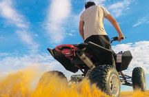 Dubai Desert Safari, Private Car Tour, Camel Ride, Sand-boarding 