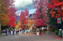 Whistler Sea 2 Sky Gondola, Shannon Falls Premium Day Tour