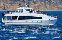 Los Angeles Whale Watching Cruise and USS Iowa Battleship Tour