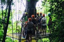 Zipline + City Tour & Sanctuary Park