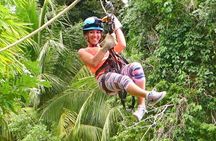 Zipline + City Tour & Sanctuary Park