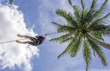 Zipline + City Tour & Sanctuary Park