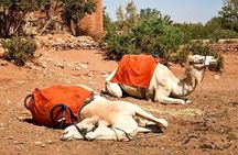 Kasbah Kasbah kasbah 