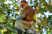 2D1N Package Borneo Nature Lodge 2 