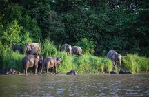 2D1N Package Borneo Nature Lodge 2 