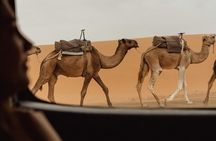 Merzouga Desert Merzouga
