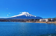 Mt Fuji and Flower Tour from Tokyo