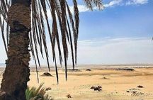 Enjoy a 5day 4Night trip to Bahariya Oasis and white desert