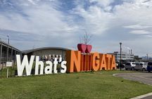 Niigata: Japanese Seafood Culture & Local Market Walk