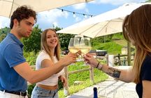Experience Prosecco Hills with Wine and Food from Venice