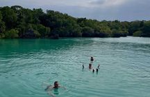 Pungume Island Private Tour with Snorkeling and Lunch