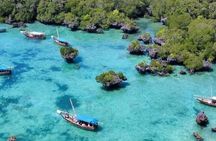 Pungume Island Private Tour with Snorkeling and Lunch