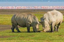 Lake Nakuru National Park:Day Trip from Nairobi