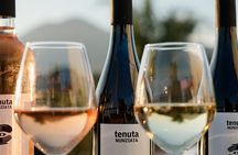 Pompeii : Oil and Wine Tasting Tour with Premium Lunch