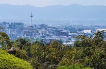 Kyoto Walking Tour Gion, Ninenzaka and Kiyomizudera Temple
