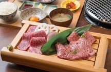 From Kyoto Premium Kobe Beef and Himeji Castle Bus Tour