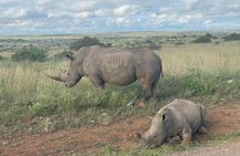 Amboseli National Park: Full Day Tour From Nairobi