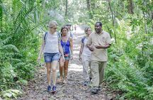 Zanzibar Jozani Forest and Spice Farm Tour with Swahili Lunch