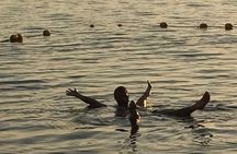 Dead Sea Day Trip from Amman Relax and Float Experience