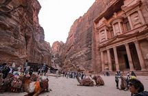 Petra Day Tour from Amman Explore the Red Rose City