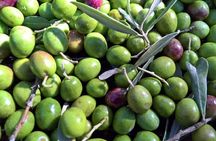 Olive Grove Tour & Oil Tasting at a Historic Mill Near Agrigento