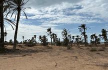 Djerba Quad Bike Tour with 3 Routes to Choose From