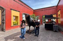 Tour to Tequila from Guadalajara: Barrel Tour