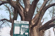 Guided Tour of Victoria Falls with Local Guide
