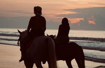 Bali Sunrise Horse Riding Experience Include Transfer